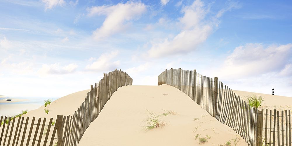 Art Print: Beach Photography X