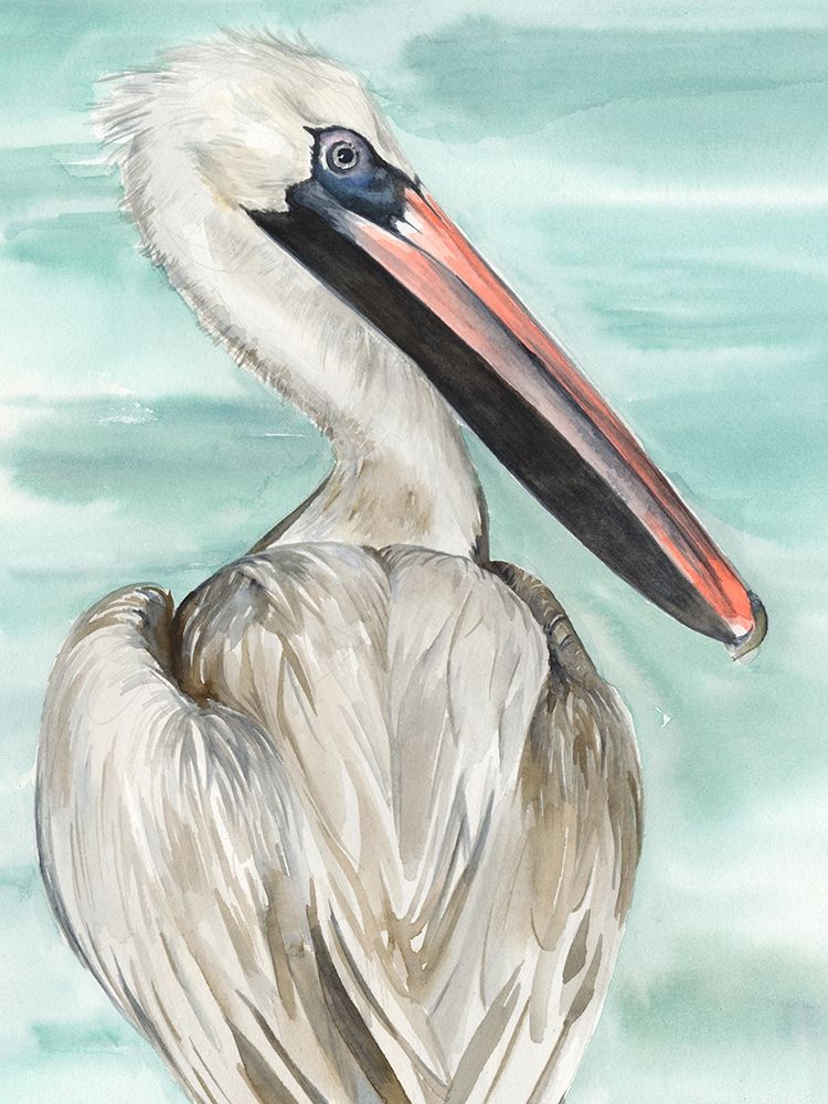 Art Print: Turquoise Pelican I
