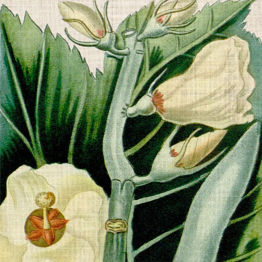 Wall art: Cropped Turpin Tropicals III, by Vision Studio