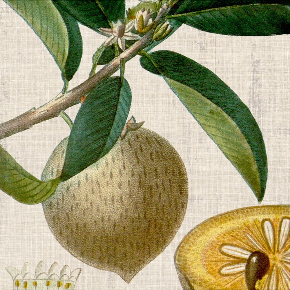 Wall art: Cropped Turpin Tropicals V, by Vision Studio