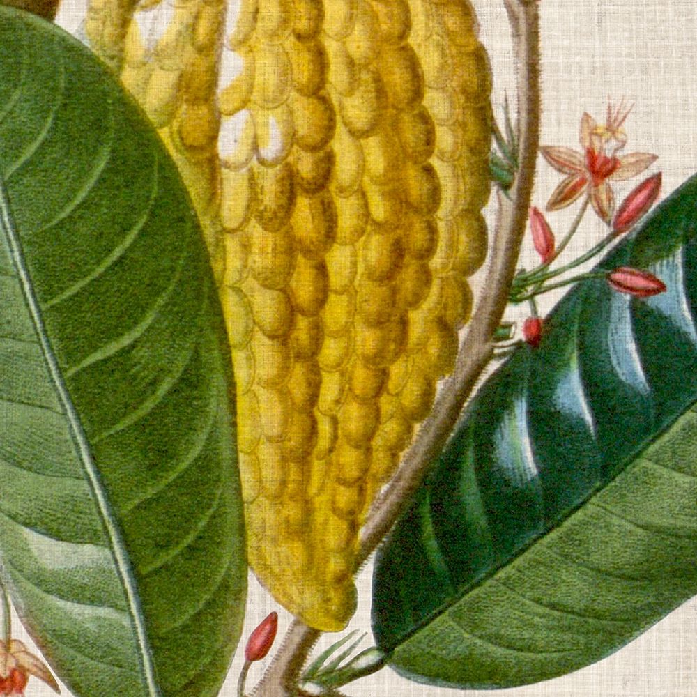 Wall art: Cropped Turpin Tropicals VI, by Vision Studio