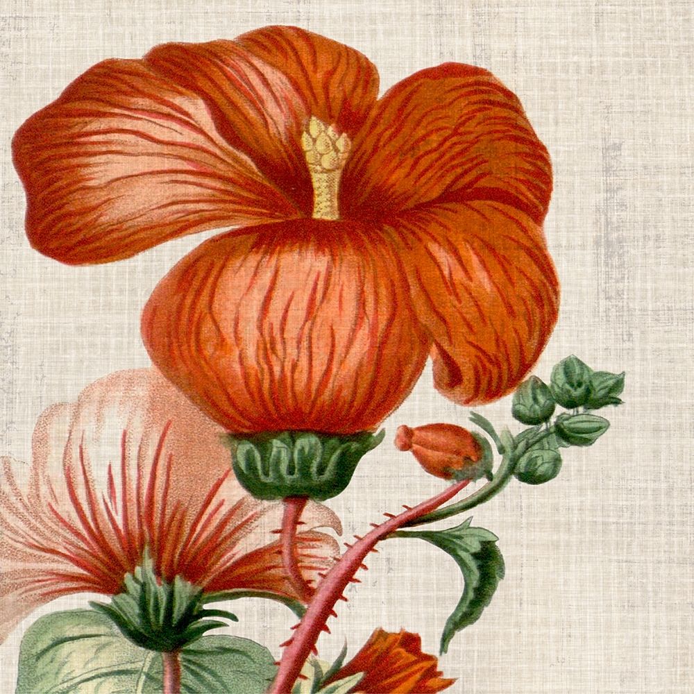 Wall art: Cropped Turpin Tropicals VIII, by Vision Studio