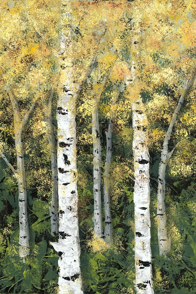 Wall Art Painting id:215361, Name: Birch Treeline II, Artist: Reynolds, Jade