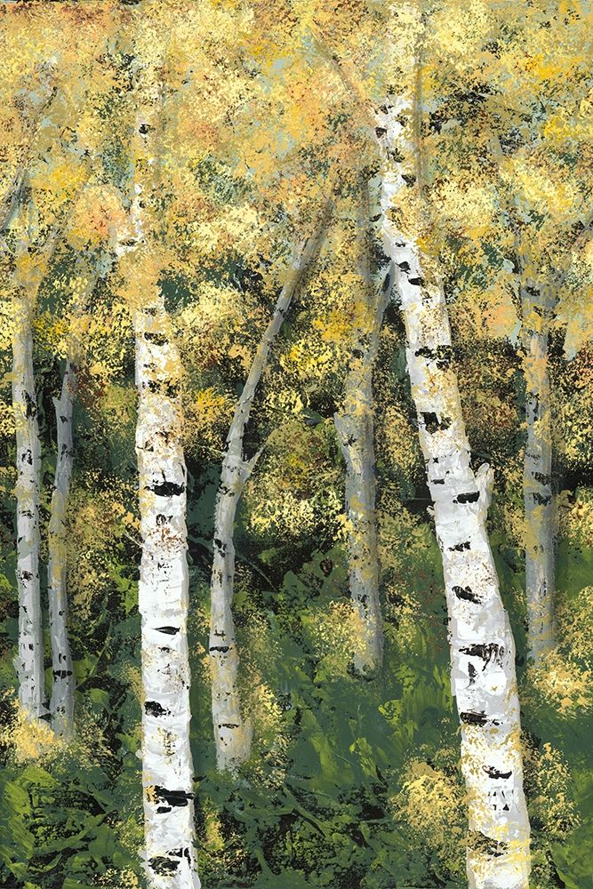 Wall Art Painting id:215362, Name: Birch Treeline III, Artist: Reynolds, Jade