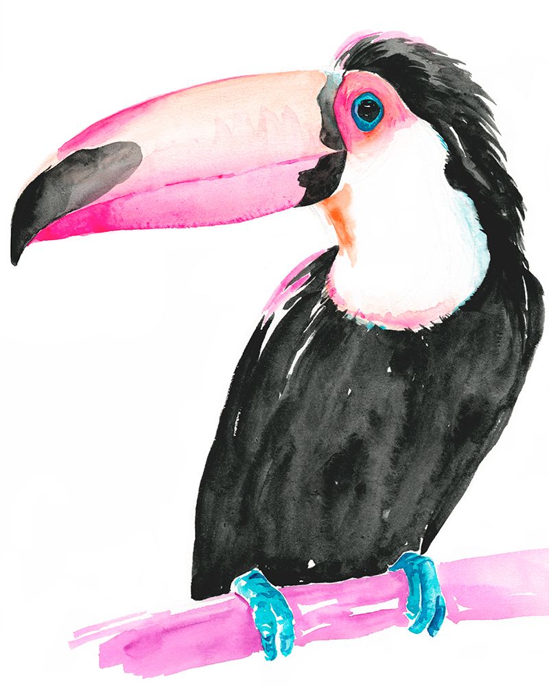 Art Print: Technicolor Toucan II