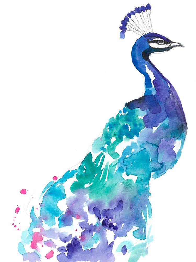 Wall art: Peacock Splash I, by Goldberger, Jennifer