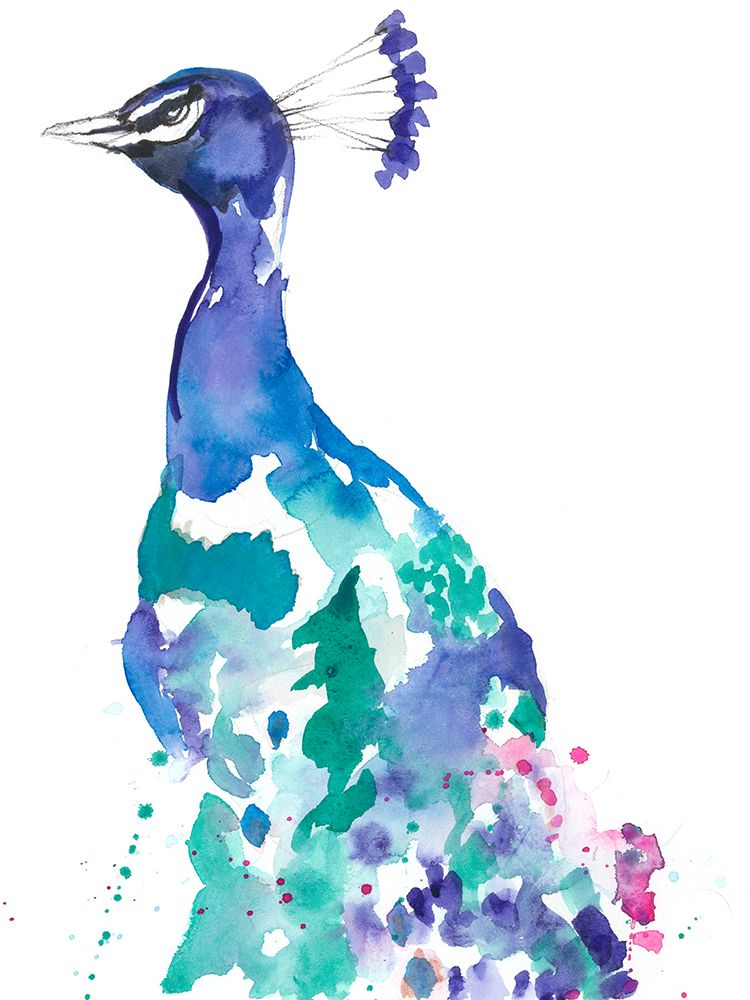 Art Print: Peacock Splash II