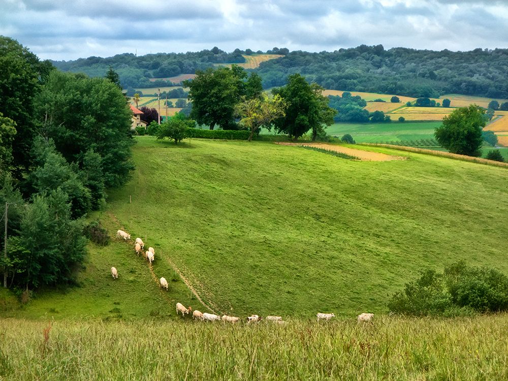 Art Print: Pastoral Countryside V