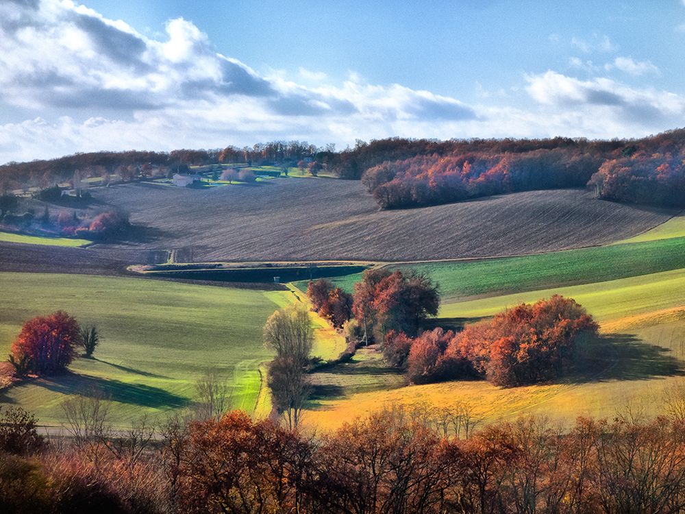 Art Print: Pastoral Countryside IX