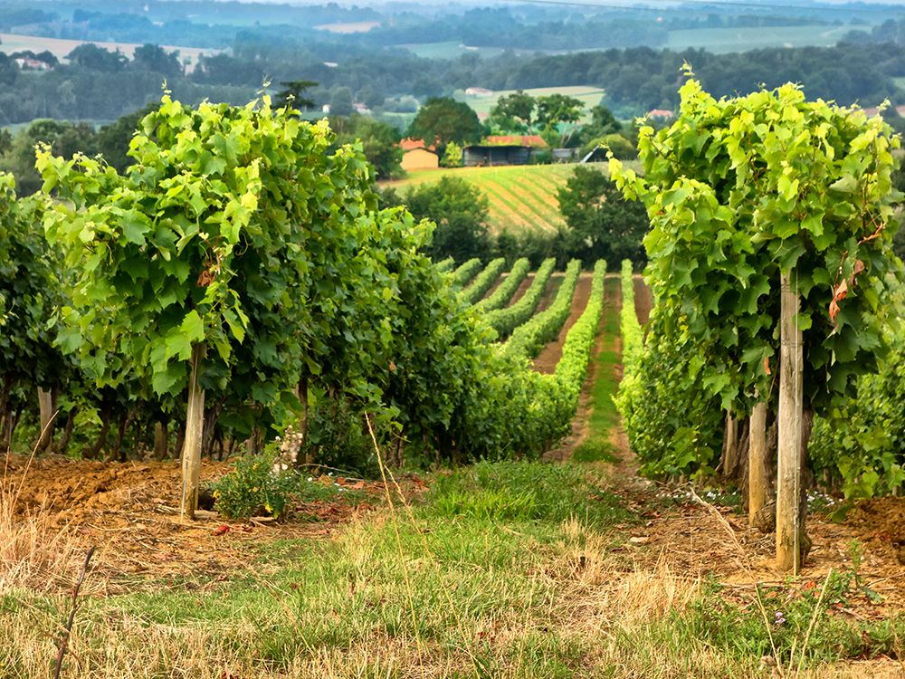 Art Print: Pastoral Countryside XIX