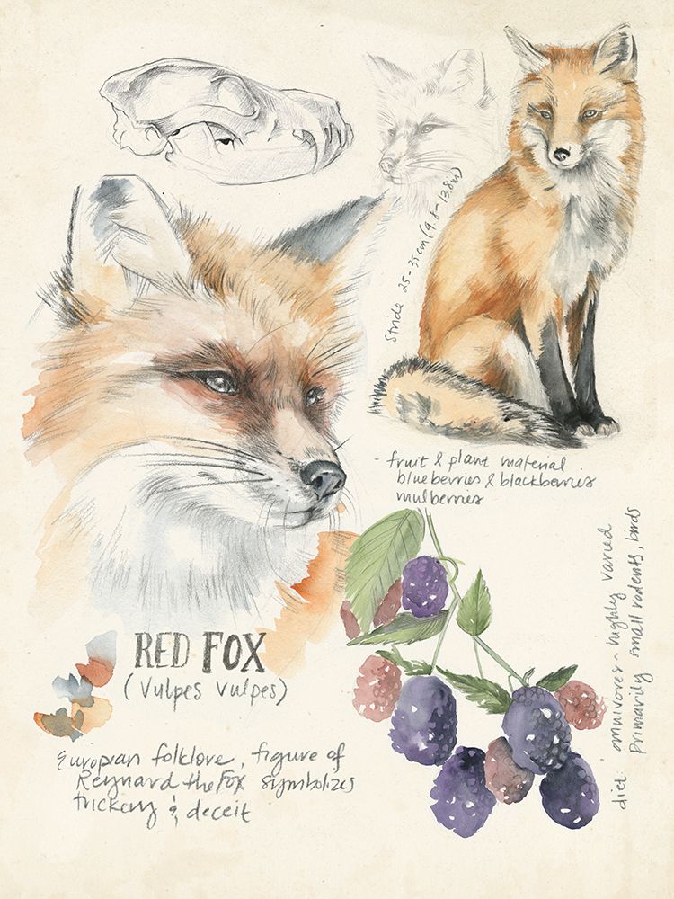 Art Print: Wildlife Journals III