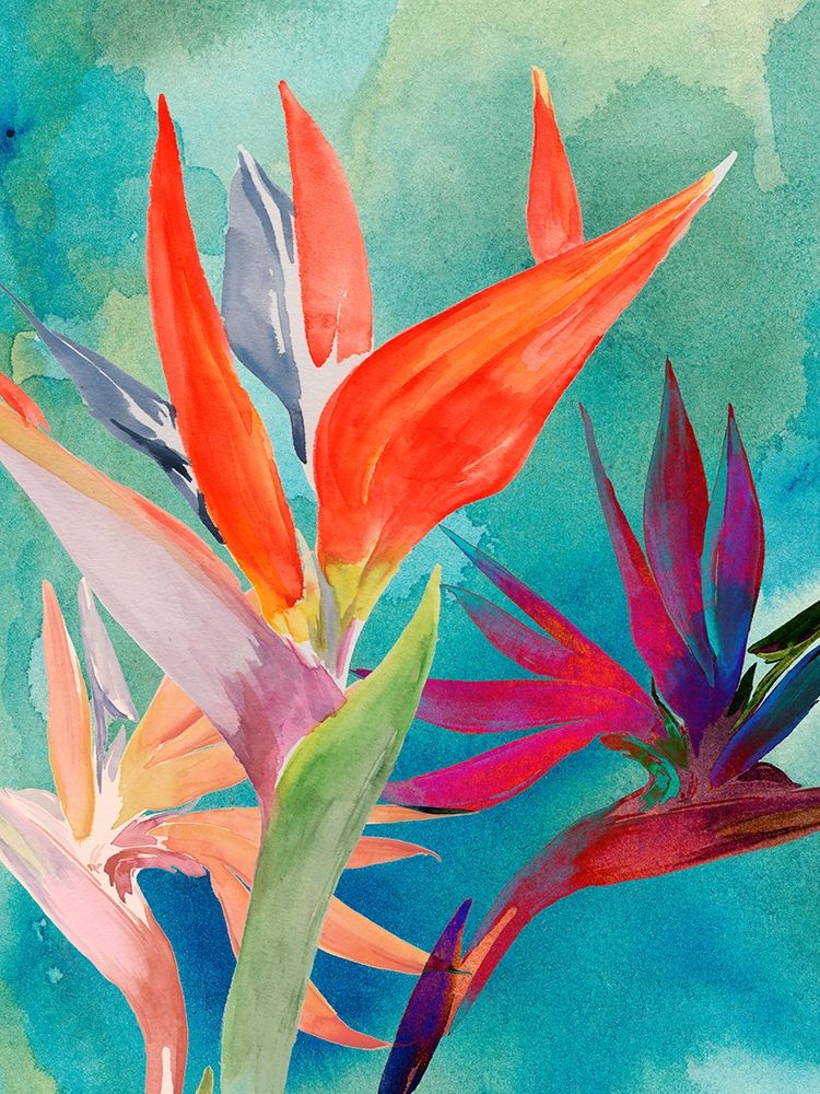 Wall art: Vivid Birds of Paradise I, by Parker, Jennifer Paxton