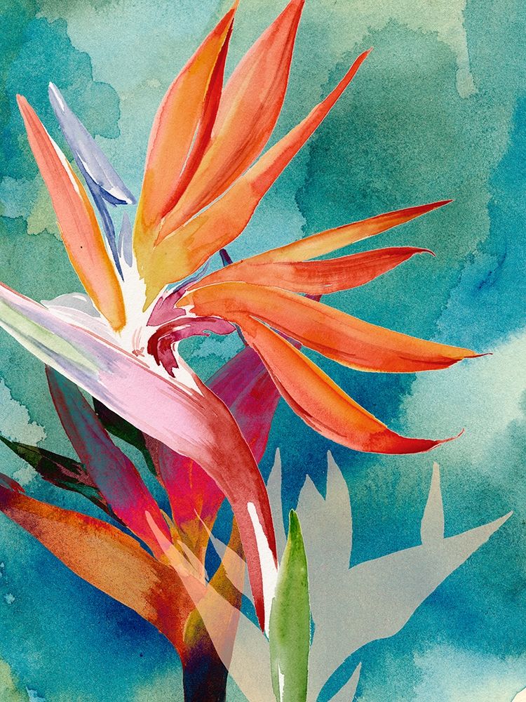 Wall art: Vivid Birds of Paradise II, by Parker, Jennifer Paxton