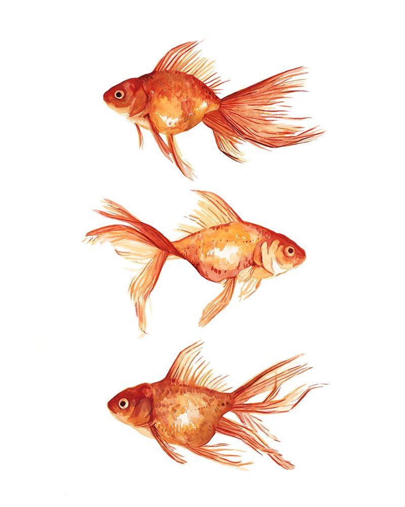 Art Print: Ornamental Goldfish III