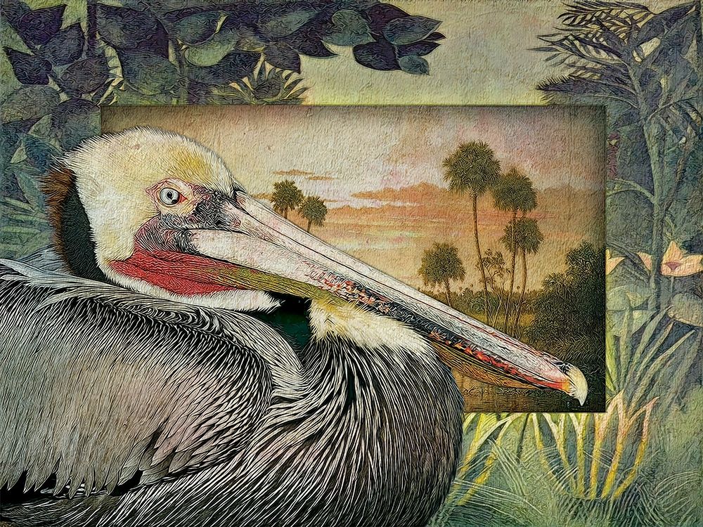 Wall Art Painting id:228598, Name: Pelican Paradise I, Artist: Hunziker, Steve