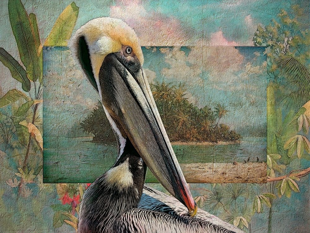 Wall Art Painting id:228599, Name: Pelican Paradise II, Artist: Hunziker, Steve
