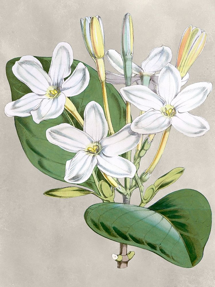 Similar wall art painting: 226265