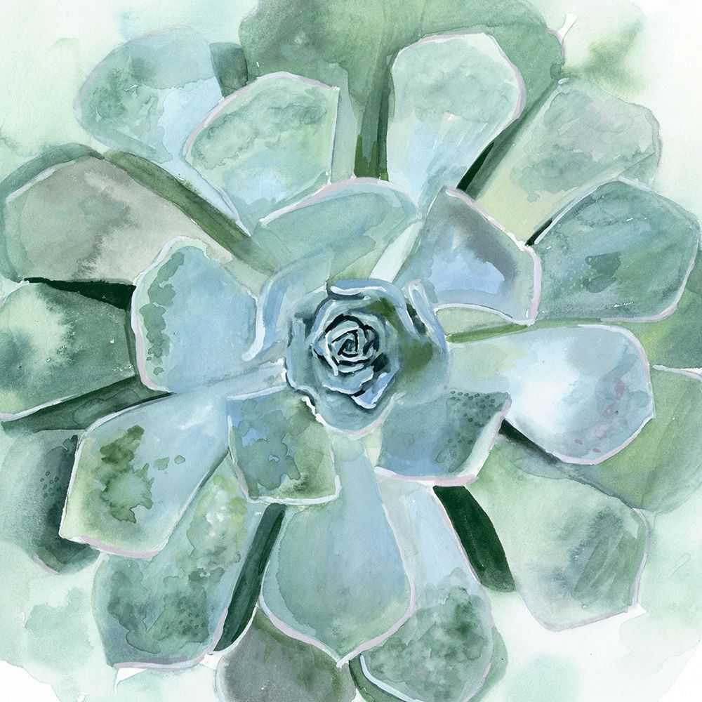 Art Print: Verdant Succulent III
