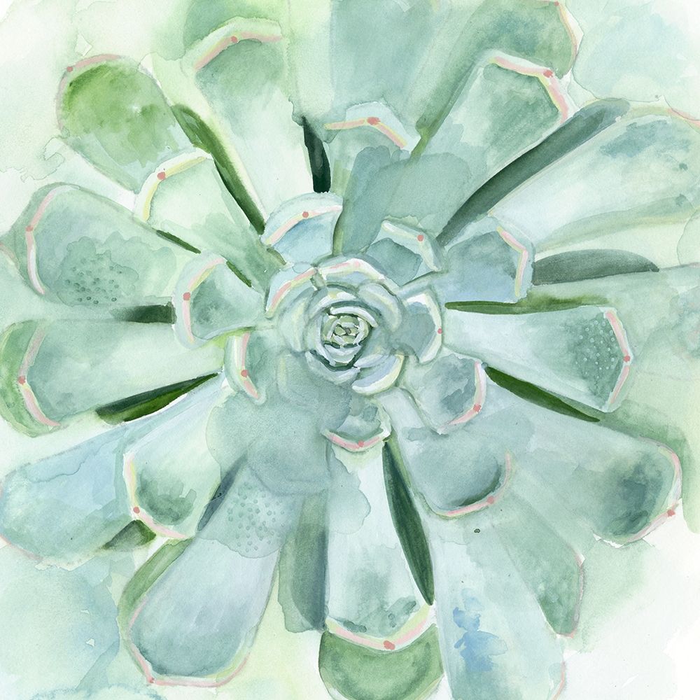 Wall Art Painting id:226274, Name: Verdant Succulent IV, Artist: Borges, Victoria