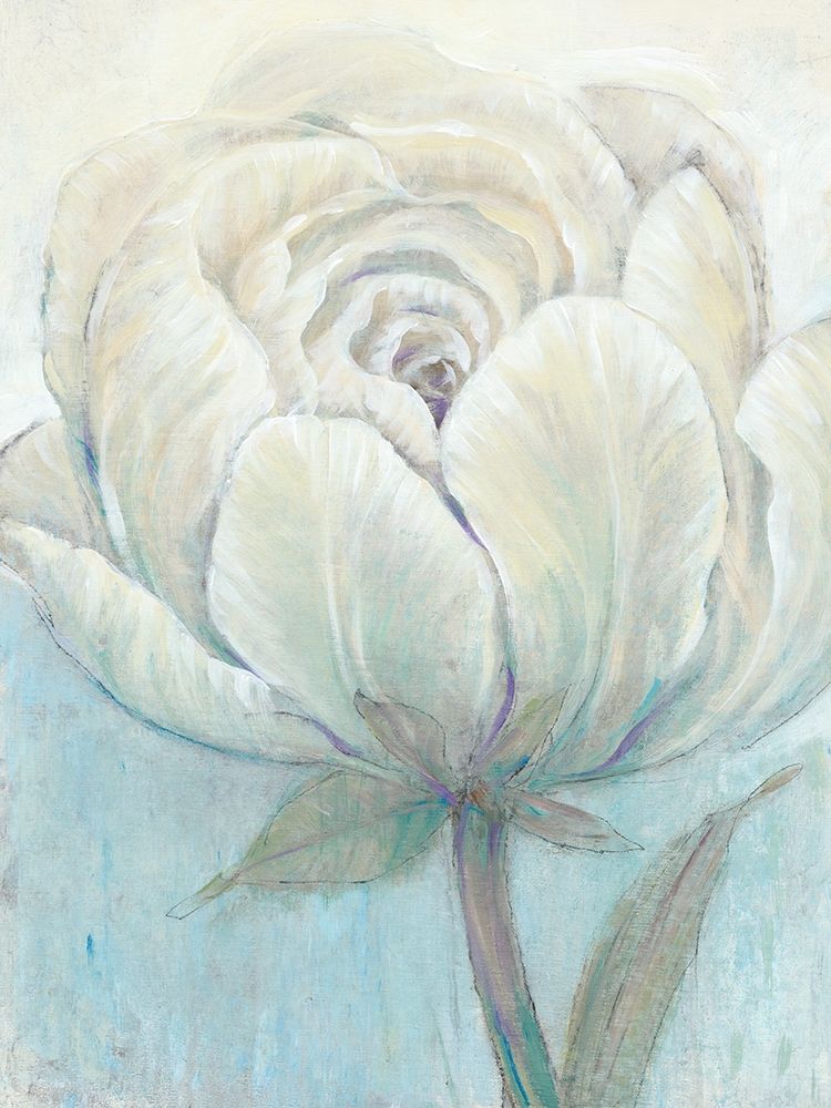 Wall Art Painting id:228932, Name: English Rose I, Artist: OToole, Tim