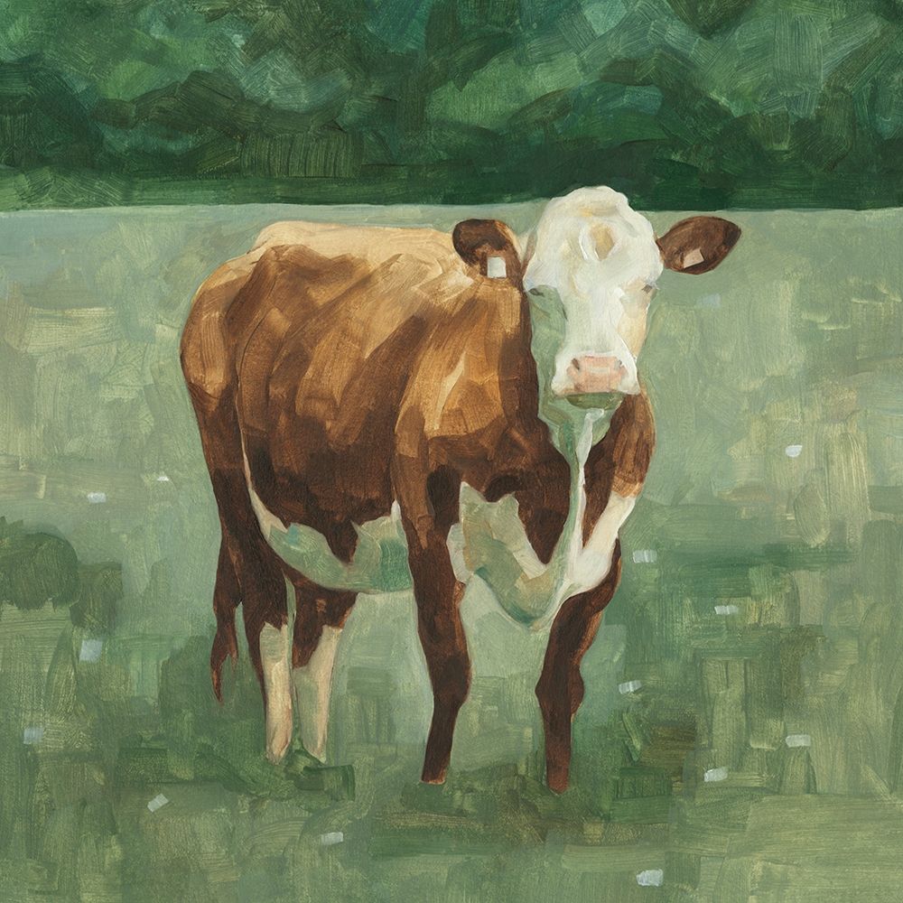 Art Print: Hereford Cattle I