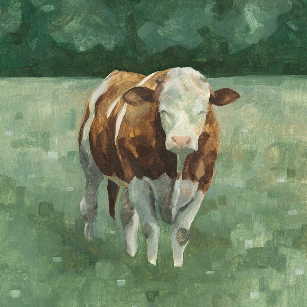 Art Print: Hereford Cattle II