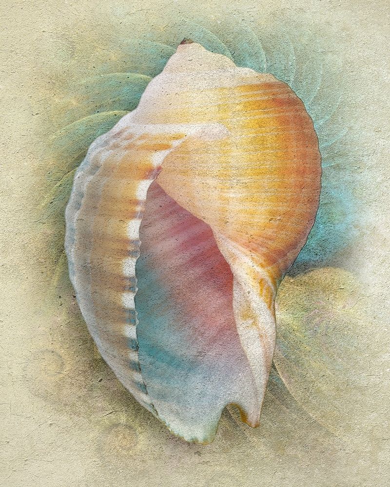 Wall Art Painting id:229200, Name: Aquatica III, Artist: Hunziker, Steve