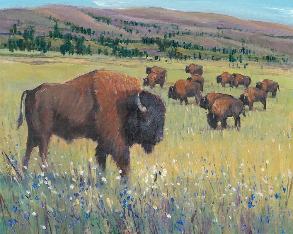 Wall Art Painting id:229248, Name: Animals of the West I, Artist: OToole, Tim