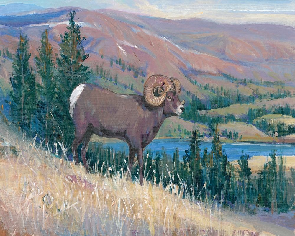 Art Print: Animals of the West III