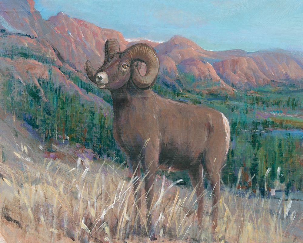 Wall Art Painting id:229251, Name: Animals of the West IV, Artist: OToole, Tim