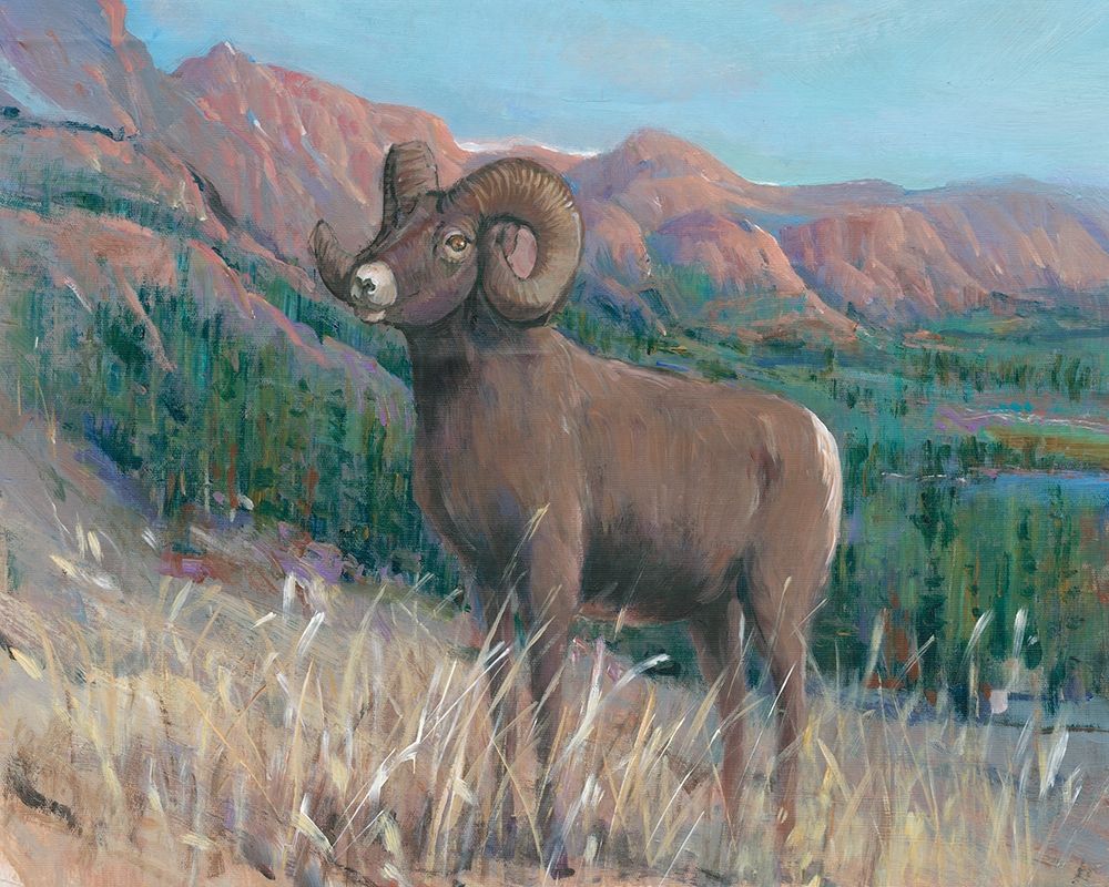 Art Print: Animals of the West IV