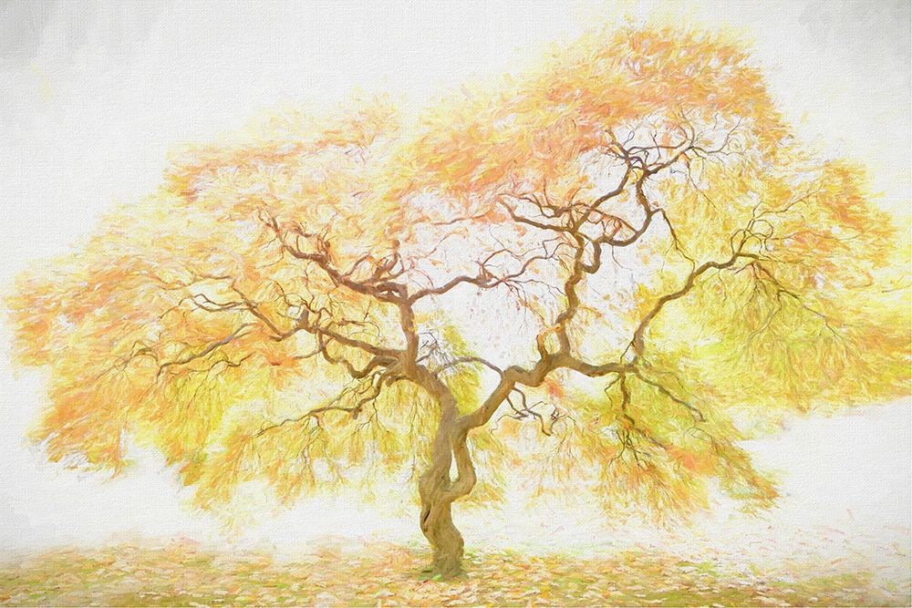 Art Print: Golden Tree