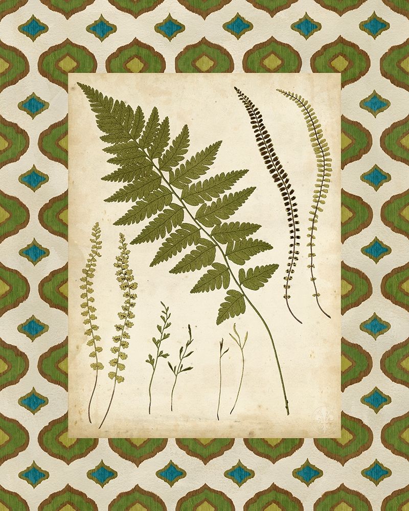 Wall Art Painting id:229509, Name: Moroccan Ferns II, Artist: Vision Studio 