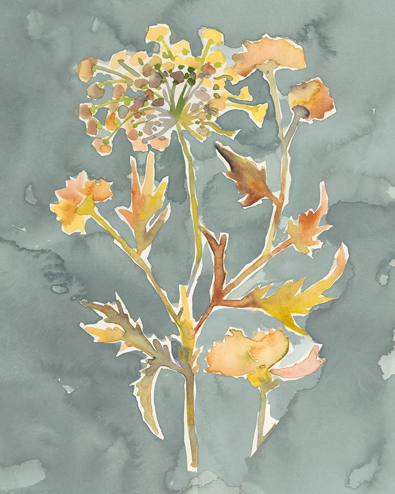 Art Print: Collected Florals I