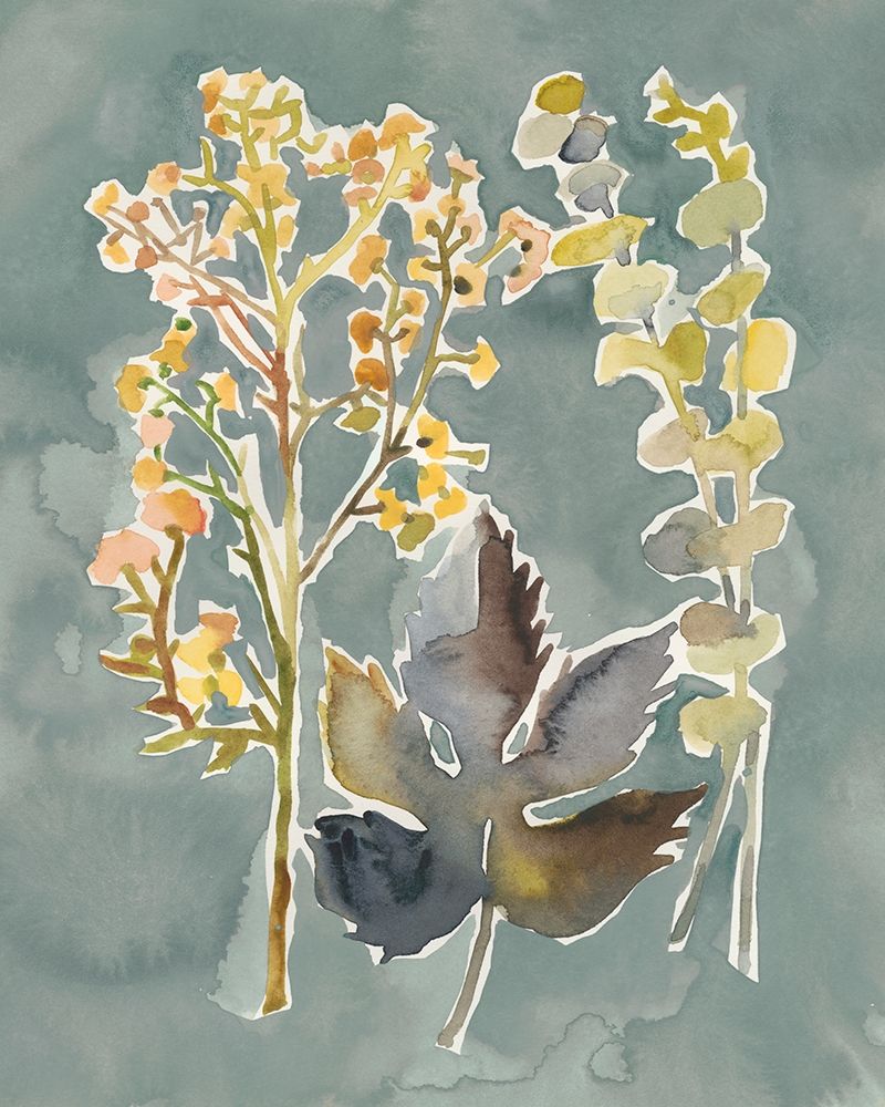 Art Print: Collected Florals III