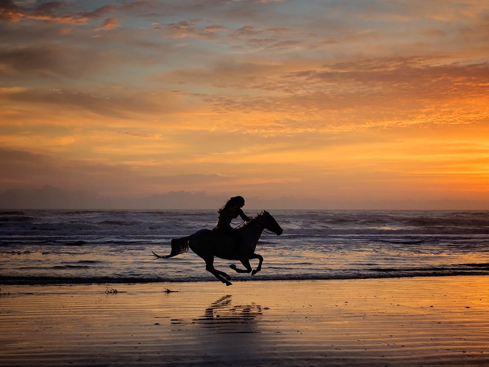 Wall art: Sunkissed Horses IV, by PHBurchett 