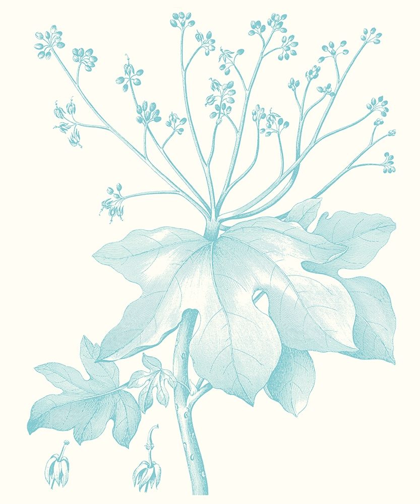 Wall Art Painting id:230004, Name: Botanical Study in Spa I, Artist: Vision Studio 