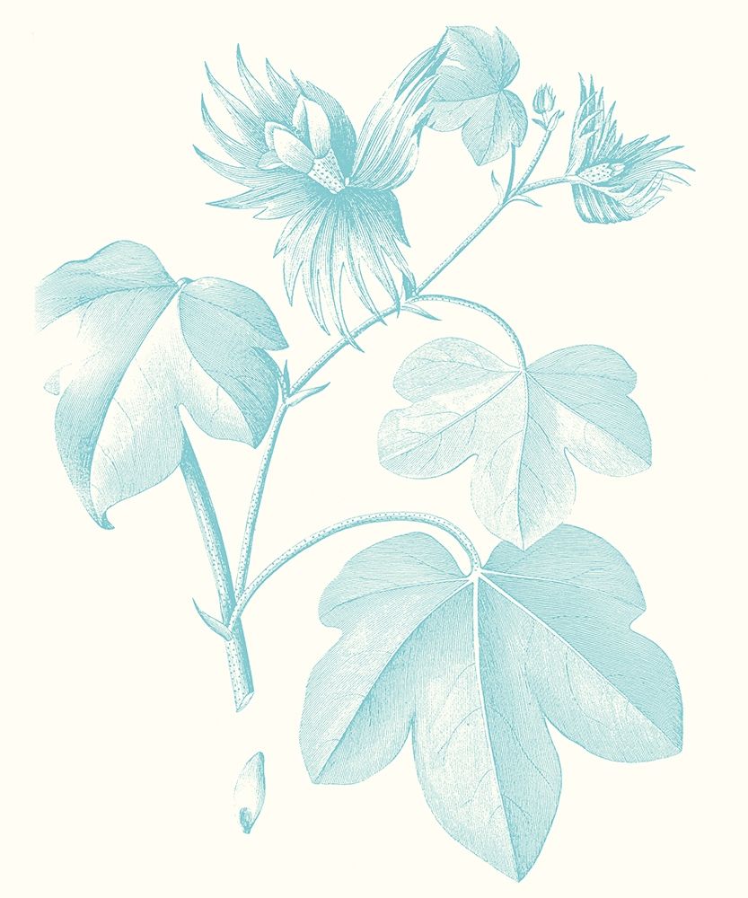 Wall Art Painting id:230007, Name: Botanical Study in Spa IV, Artist: Vision Studio 