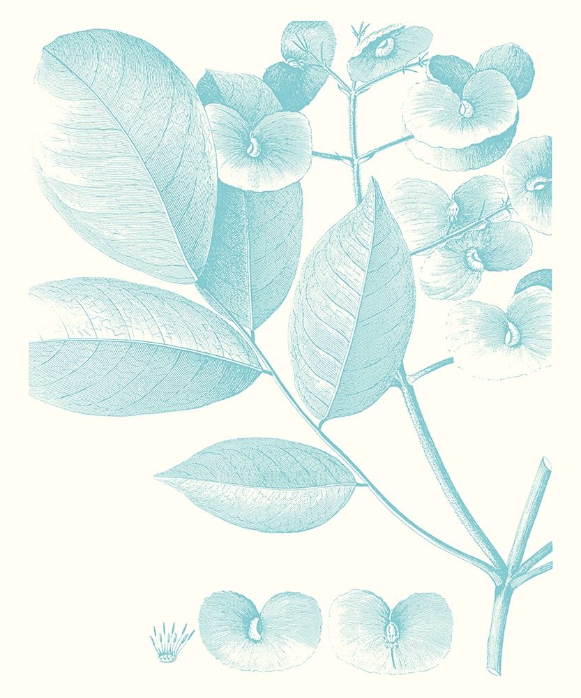 Wall Art Painting id:230008, Name: Botanical Study in Spa V, Artist: Vision Studio 