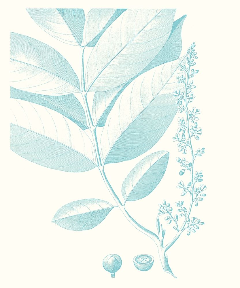 Wall Art Painting id:230009, Name: Botanical Study in Spa VI, Artist: Vision Studio 