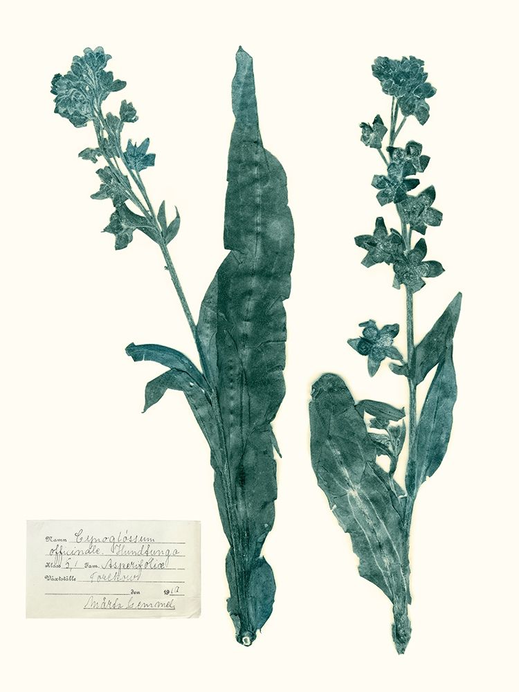 Wall Art Painting id:230110, Name: Pressed Flowers in Spa IV, Artist: Vision Studio 