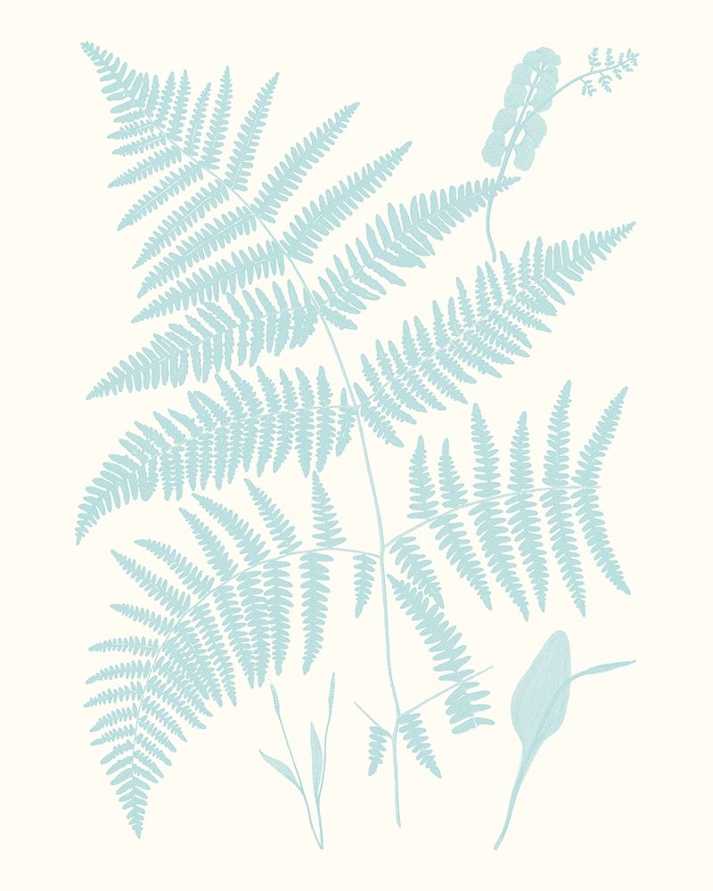 Wall Art Painting id:230150, Name: Serene Ferns I, Artist: Vision Studio 