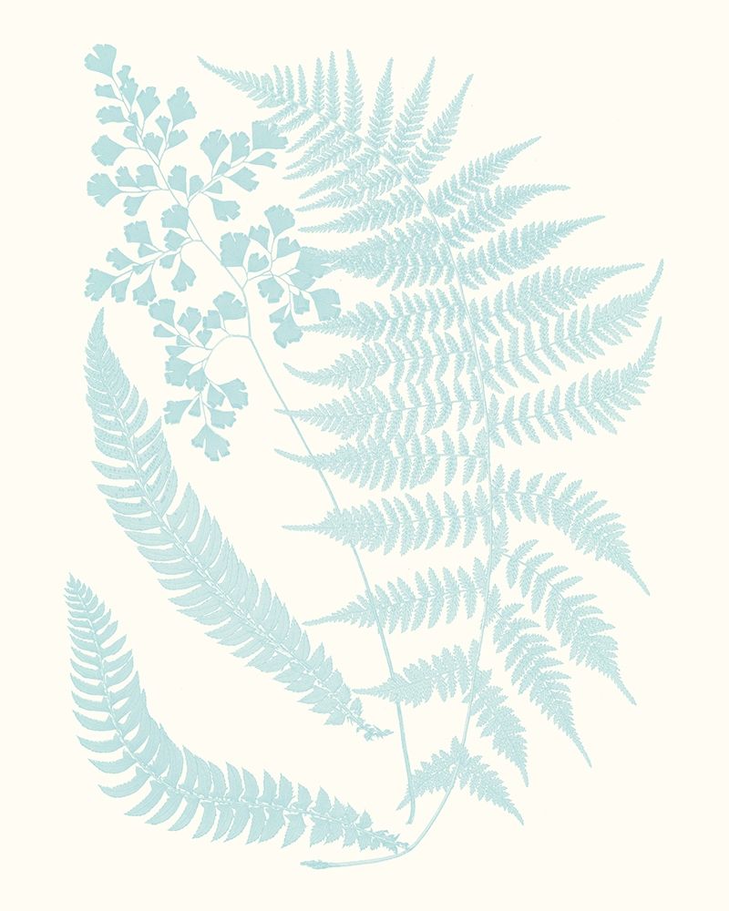 Wall Art Painting id:230151, Name: Serene Ferns II, Artist: Vision Studio 