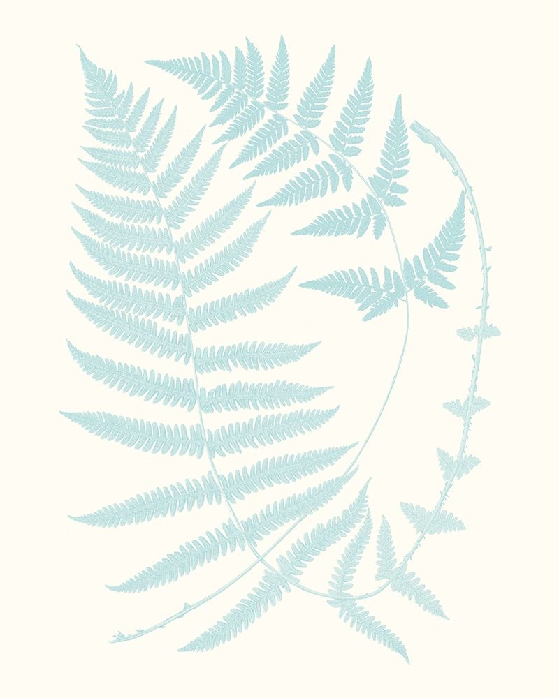 Wall Art Painting id:230152, Name: Serene Ferns III, Artist: Vision Studio 