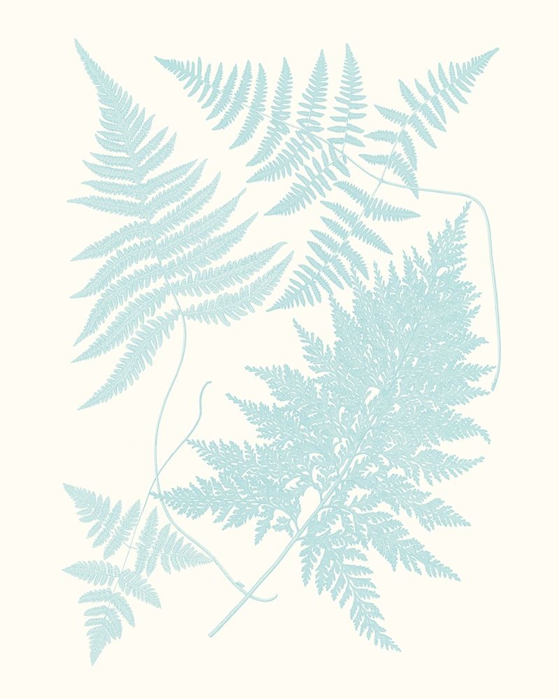Wall Art Painting id:230153, Name: Serene Ferns IV, Artist: Vision Studio 