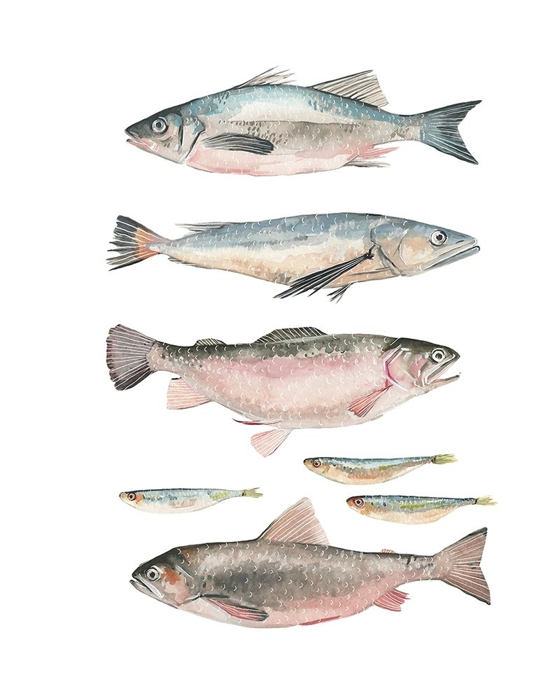 Art Print: Fish Composition I