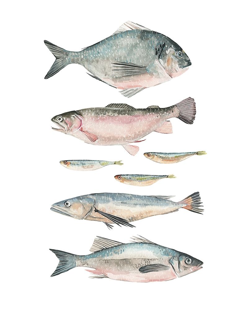 Art Print: Fish Composition II