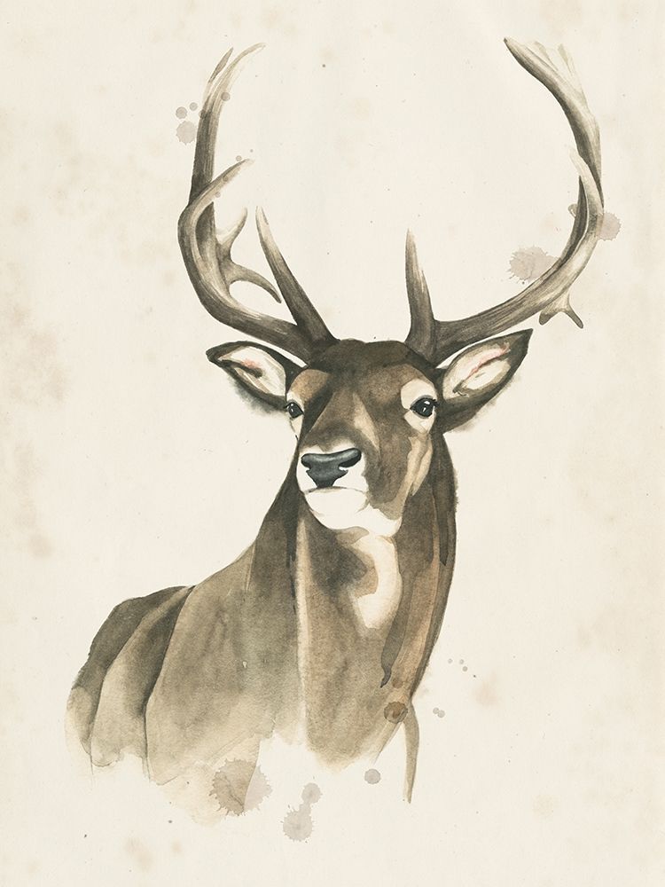 Wall Art Painting id:230534, Name: Watchful Woods I, Artist: Popp, Grace