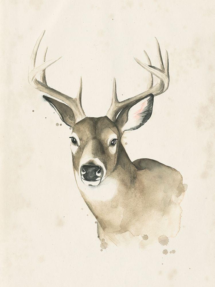 Wall Art Painting id:230535, Name: Watchful Woods II, Artist: Popp, Grace