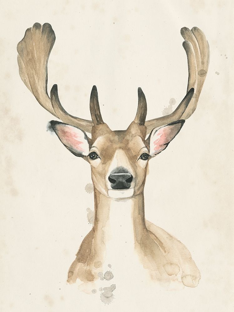 Wall Art Painting id:230536, Name: Watchful Woods III, Artist: Popp, Grace